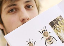 Комары наступают  по всем фронтам