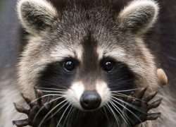 &laquo;Страна Енотия&raquo;  на карте города