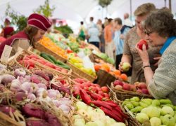 В Киеве опять пройдут ярмарки  с недорогими продуктами