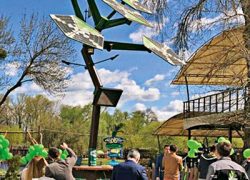 В Киеве установили смарт-дерево с Wi-Fi