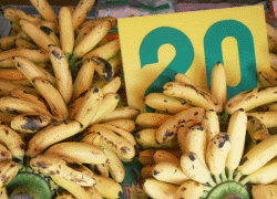 Бананы в крапинку могут  вызывать рак?