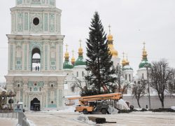 На Софийской площади установили главную елку