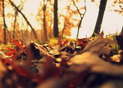 На территорию Украины надвигается осеннее ненастье