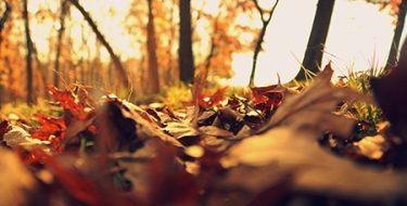 На территорию Украины надвигается осеннее ненастье