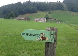 Научная сенсация: лекарства отменяются. Заземление лечит болезни бесплатно