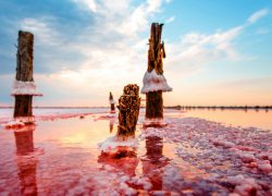 Грязи Куяльника стали розовыми от водорослей