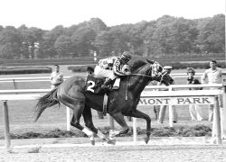 Победить после смерти: спортсмены поразившие мир спорта