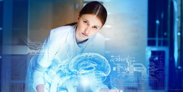 Размер мозга тоже имеет значение