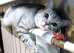 &laquo;Киевэнерго&raquo; начинает топить в больницах, школах и садах