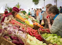 Ценники на продукты в Киеве сравнялись с европейскими