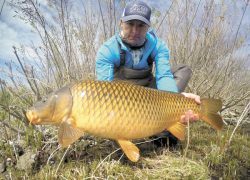 Киевские эпидемиологи предупреждают о возможности заражения опасными болезнями от карповых рыб