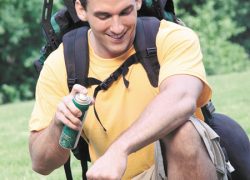 Бабушкины репелленты: проверенные веками средства от комаров