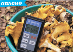 Грибы на свою голову