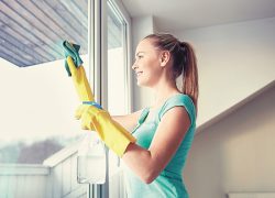 15 правил войны с домашней грязью