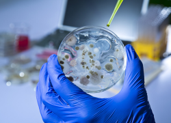 Ученые посчитали колличество бактерий в человеческом организме