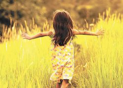 Распродажа земли: все плюсы и минусы