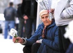 За покупку-продажу цветов из Красной книги &ndash; штраф 1,7 тыс.